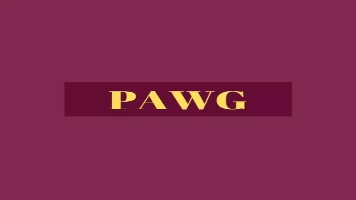 PAWG – What is the Meaning of This Slang?