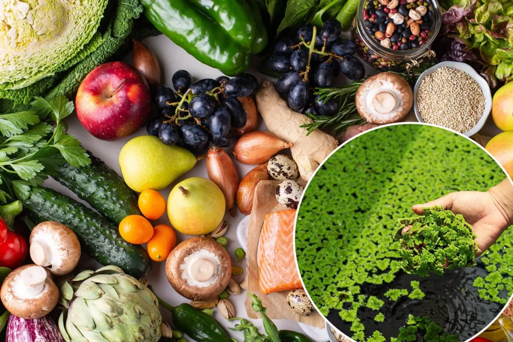 The Ultimate Guide to the Green Mediterranean Diet: A Nutrient-Rich Path to Wellness
