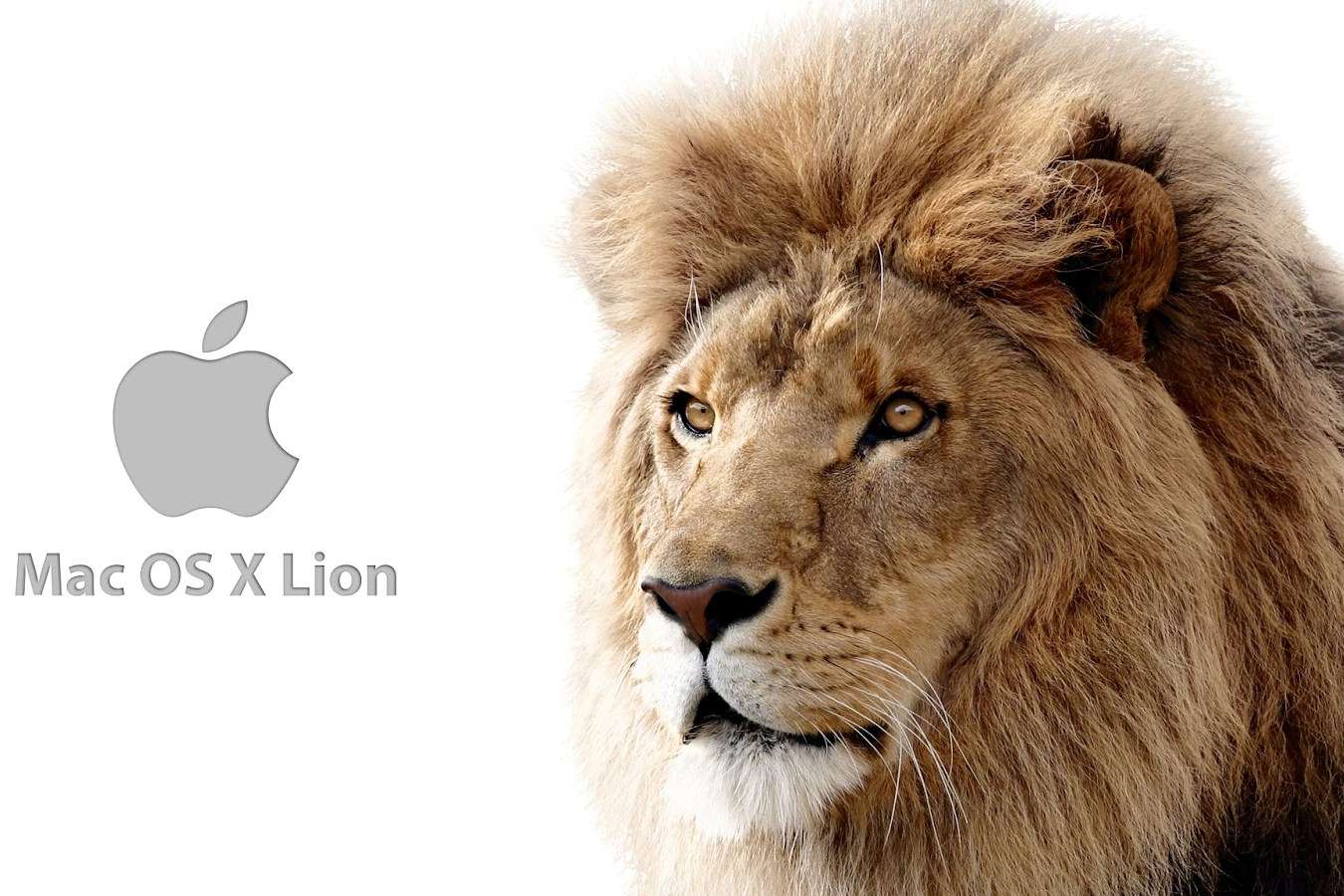 Tip to Arrange and Merge PDF Pages on Mac OS X Lion