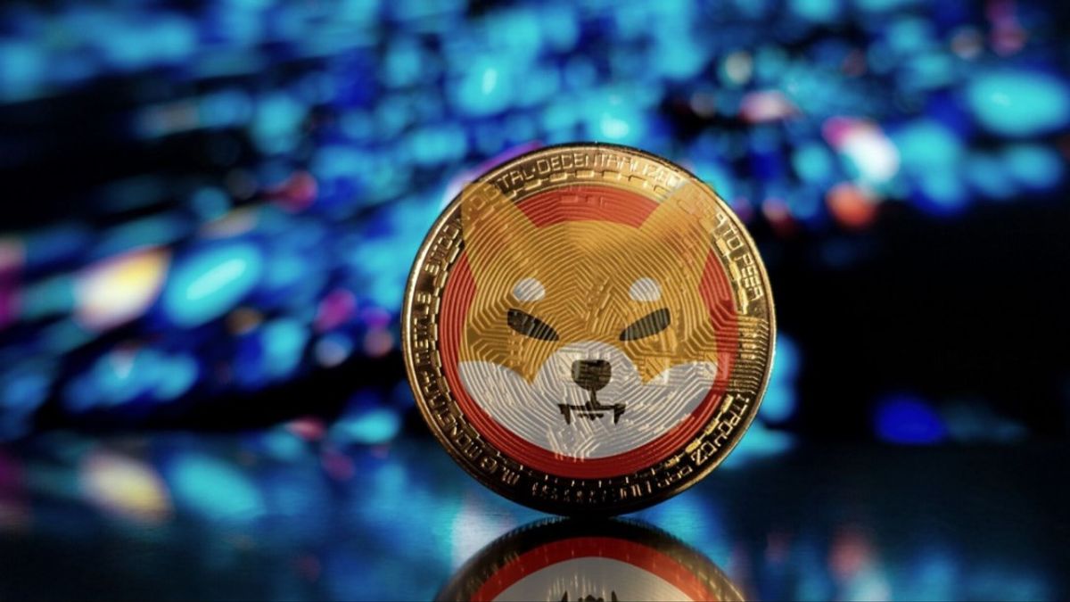 Shiba Inu Coin: A Deep Dive into the Hype and Reality