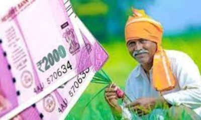 PM Kisan Scheme: Empowering Indian Farmers One Step at a Time