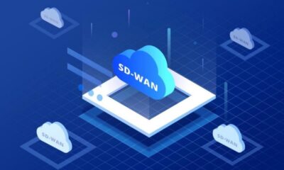 Demystifying SD-WAN: A Comprehensive Overview