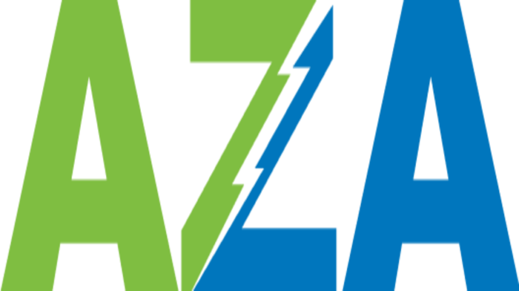 The Ancient Tradition of Aza: A Melodic Journey Through Time