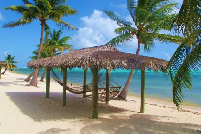 The Cayman Islands Honeymoon Traveler's Pocket Tour Guide