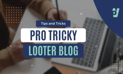 Unlocking the Secrets Pro Tips for a Tricky Looter Blog