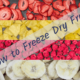 How to Freeze Dry Fruit