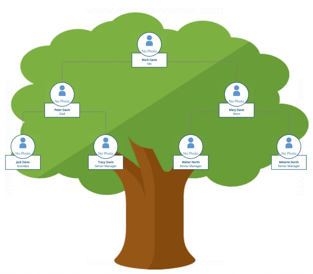 The Importance of Family Trees: Tracing Your Ancestry
