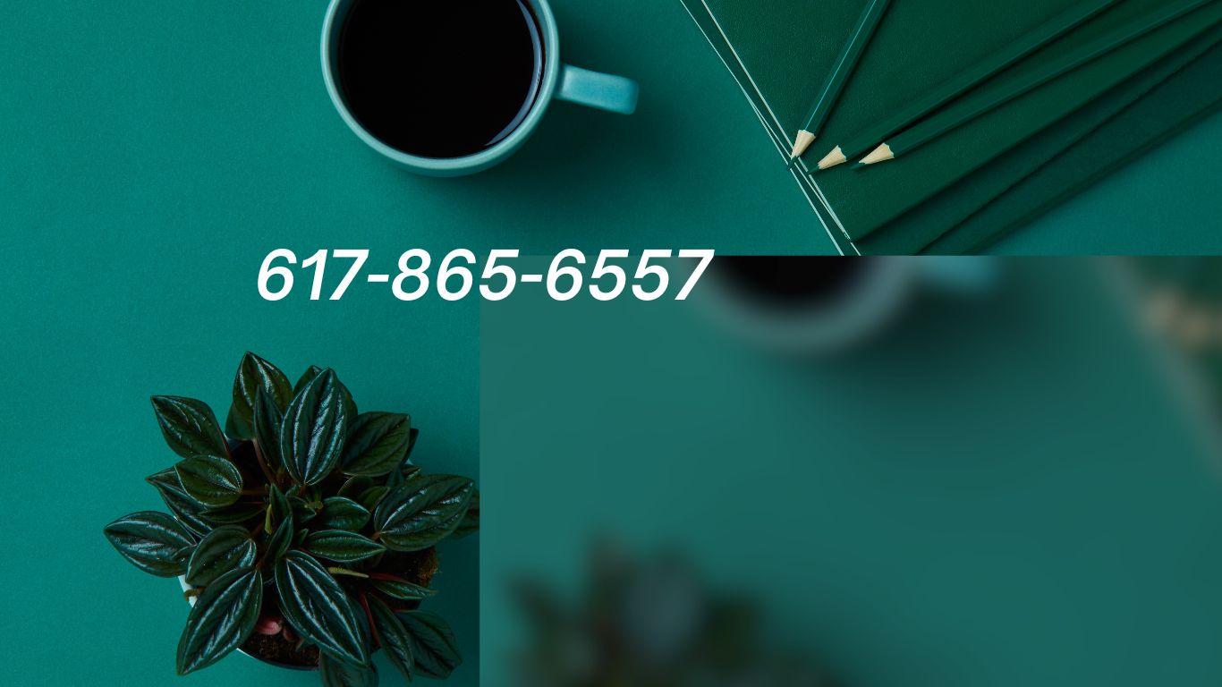 617-865-6557: The Rise of a Mysterious Phone Number