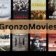 Exploring the Cinematic Universe of GronzoMovies