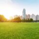 The Impact of Green Spaces on Community Well-Being and Social Dynamics