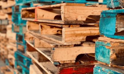 The Environmental Impact of Pallet Choices in Shipping and Storage