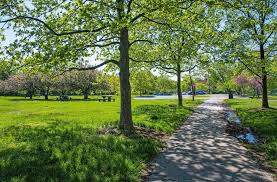 Enhancing Urban Landscapes: The Importance of Tree Care in Seasonal Climates