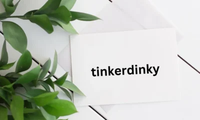 Tinkerdinky: A Deep Dive into a Playful Digital Phenomenon