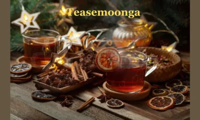 Teasemoonga: A Comprehensive Guide to This Unique Concept