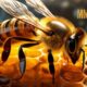 MMS 24 Bee: A Comprehensive Overview