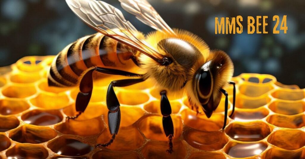 MMS 24 Bee: A Comprehensive Overview