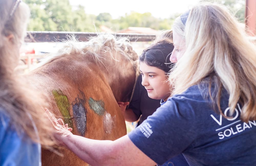 What Are Equine-Assisted Services and Who Can Benefit From Them?