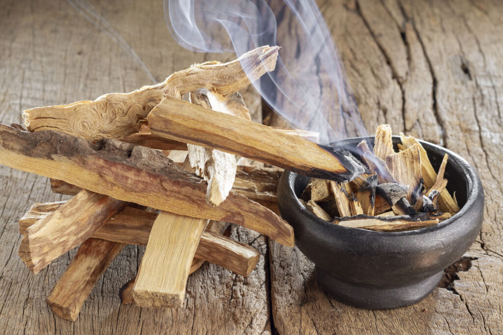 The Sacred Smoke: Unraveling the Mystique of Palo Santo