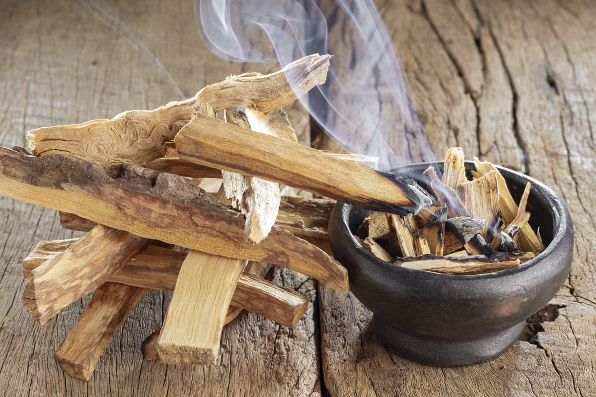 The Sacred Smoke: Unraveling the Mystique of Palo Santo