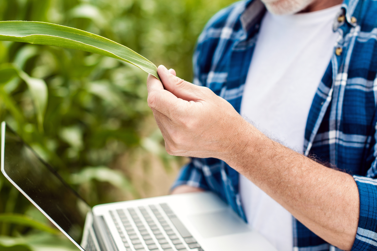 Innovations in Commercial Pest Control Technology