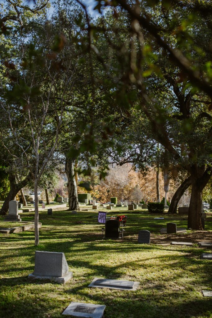 Memoria: Preserving Memories in the Digital Age