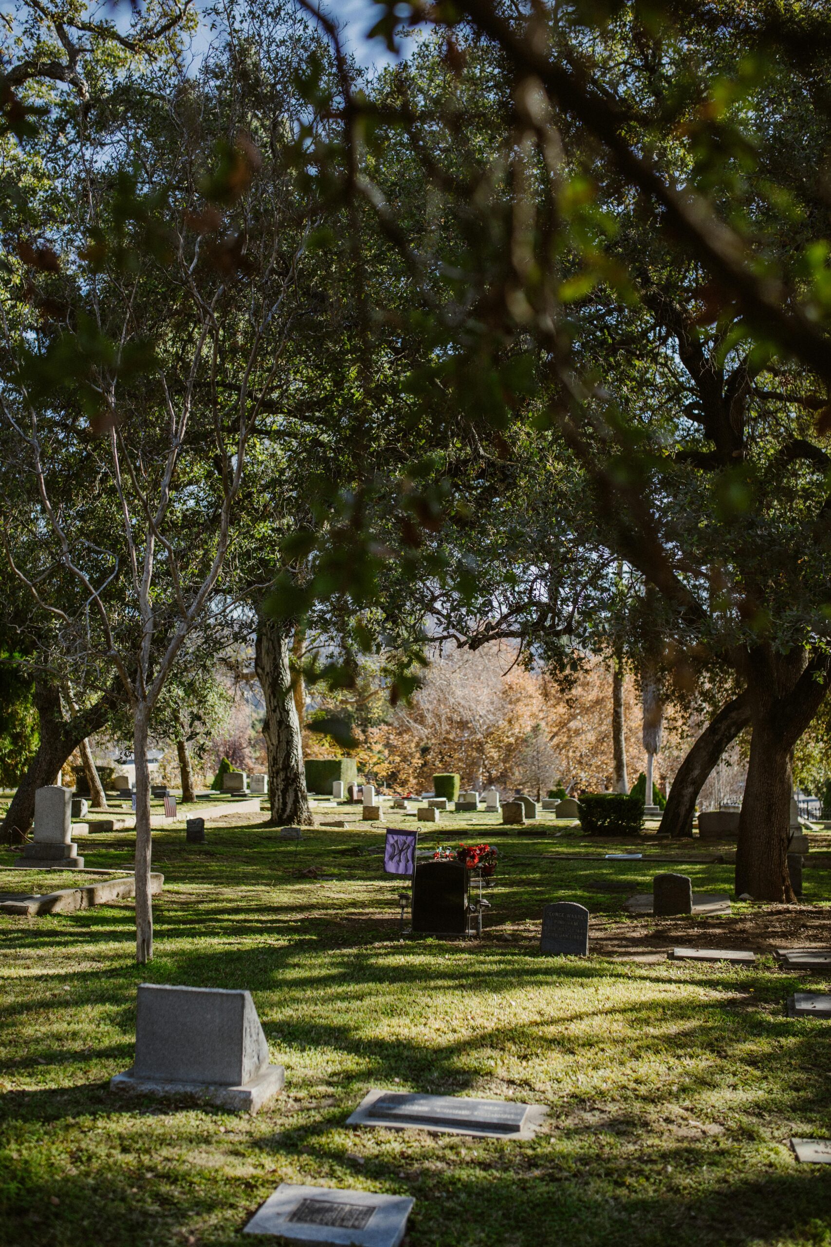 Memoria: Preserving Memories in the Digital Age
