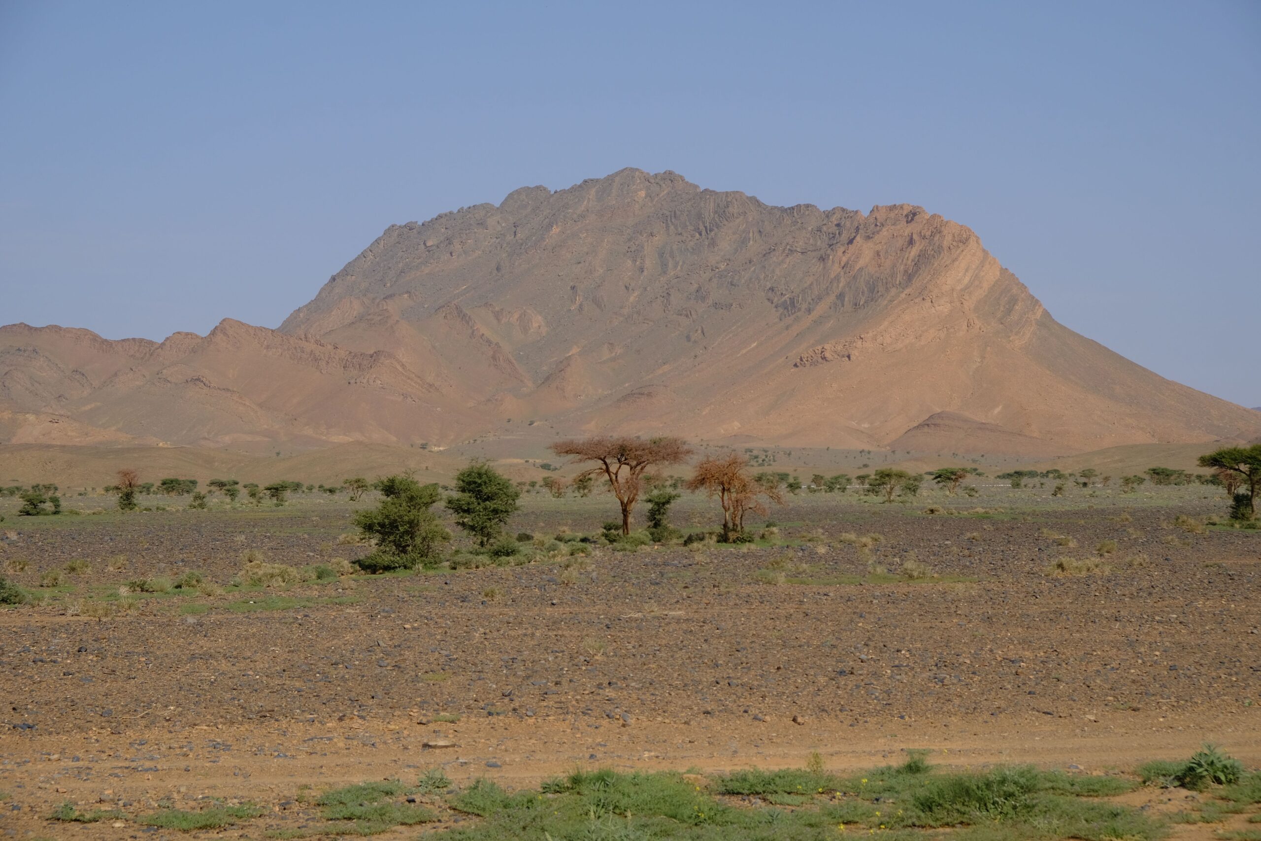 Mount Sinai: History, Importance, and Modern Healthcare Legacy